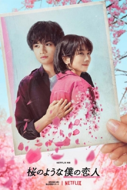 Love like the falling petals (2022)