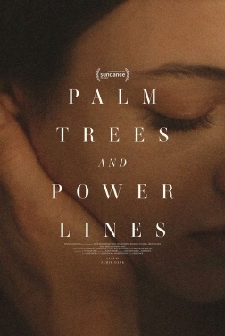 Palm Trees and Power Lines (2022)