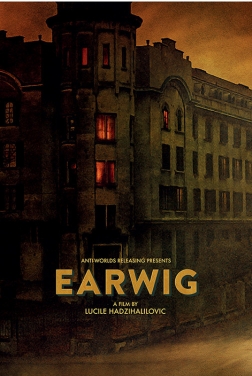 Earwig (20223)